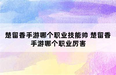 楚留香手游哪个职业技能帅 楚留香手游哪个职业厉害